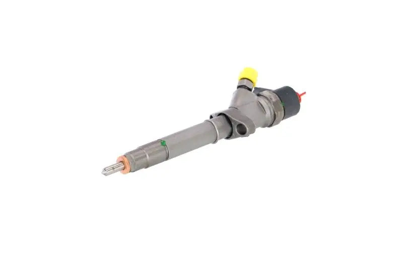 Injecteur 445110087 Bosch (vue 1)